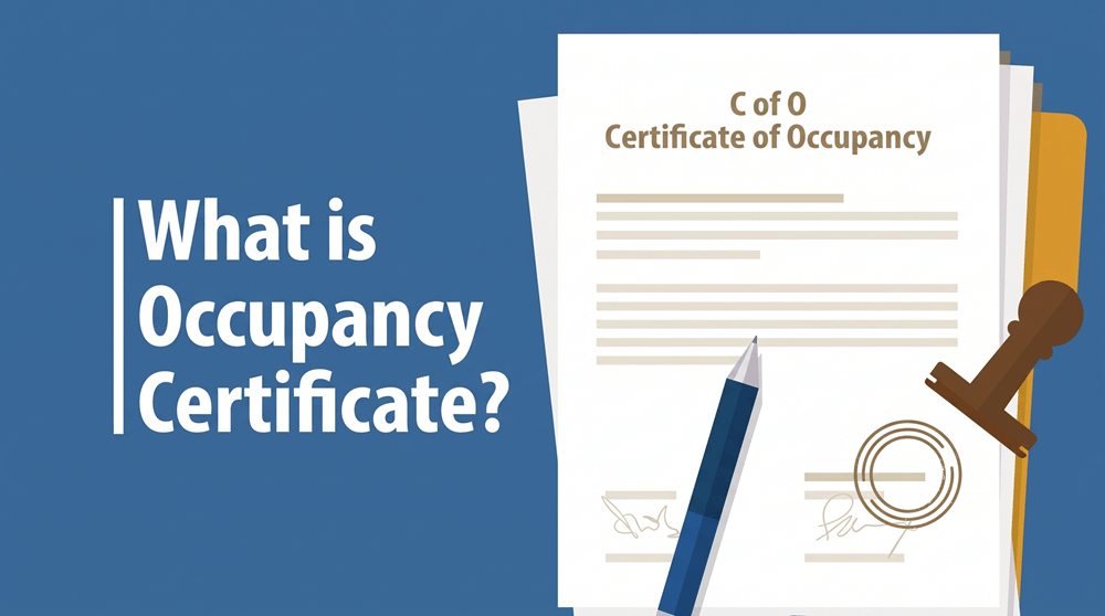 what is an occupancy certificate